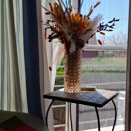 Guest house Casa Adriana