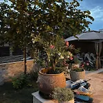 Guest house Casa Adriana