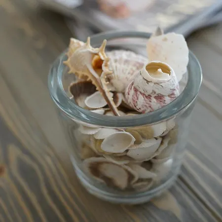 Casa Adriana Eforie Sud (Constanta)