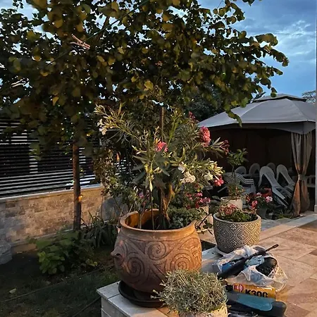 Vendégház Casa Adriana