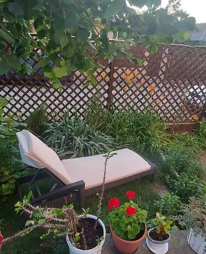 Guest house Casa Adriana